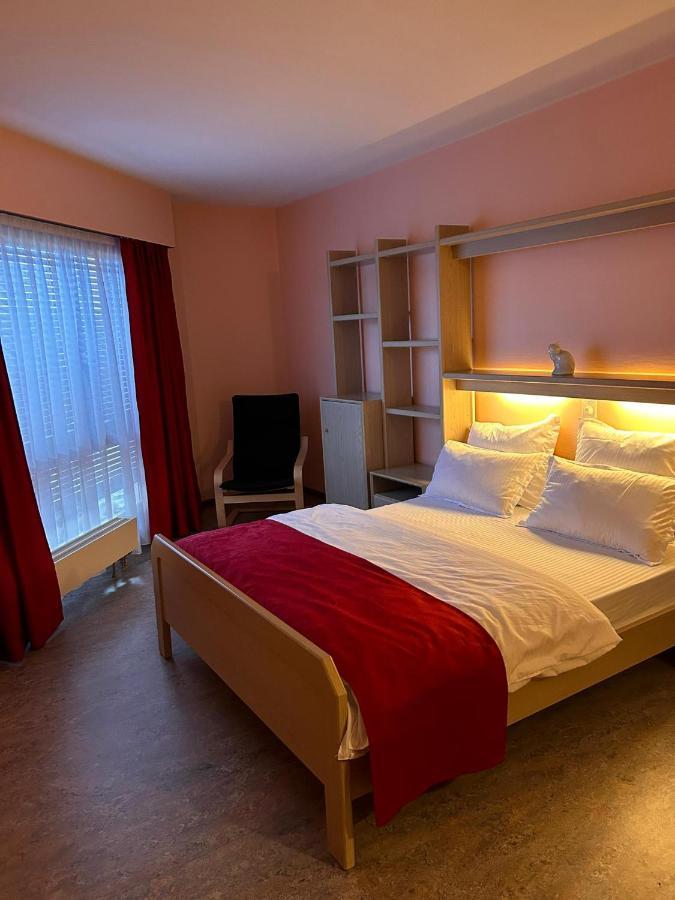 Hôtel EDIROL Vouvry Buitenkant foto
